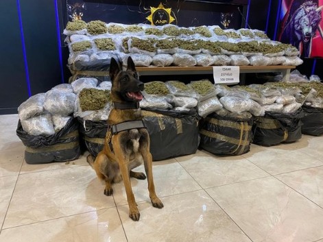 Ankara'da 257 kilo esrar ele geçirildi!